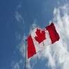 برنامه جدید کانادا برای مهاجرت کاری پناهجویان