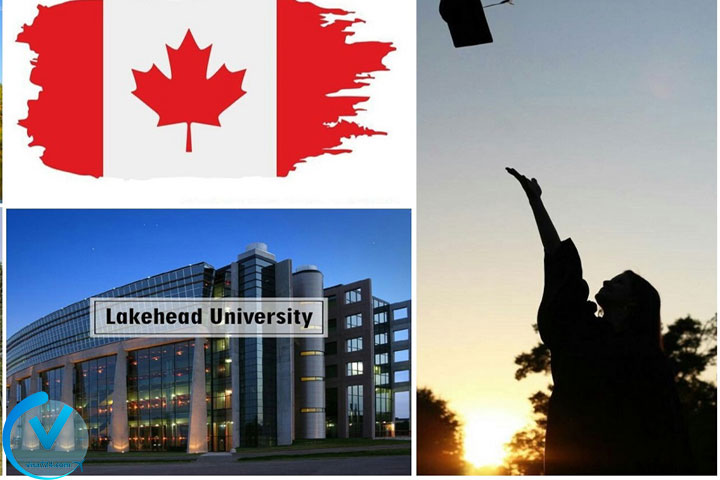 دانشگاه لیک‌هد کانادا