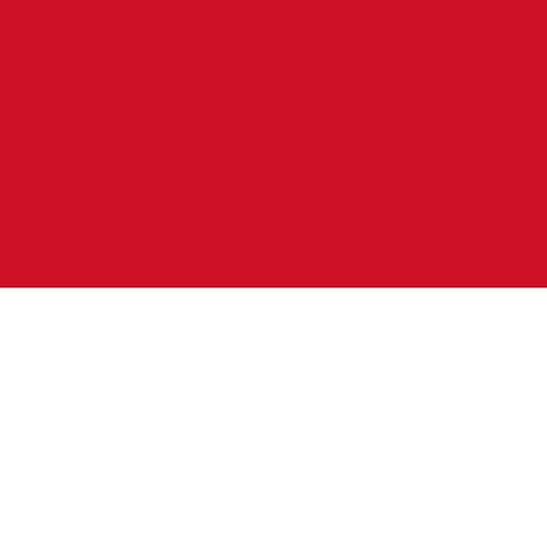 ویزای توریستی اندونزی
