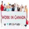 بهترین مشاغل برای مهاجرت کاری به کانادا در سالهای اخیر