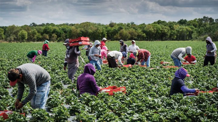 FARMING IN CANADA